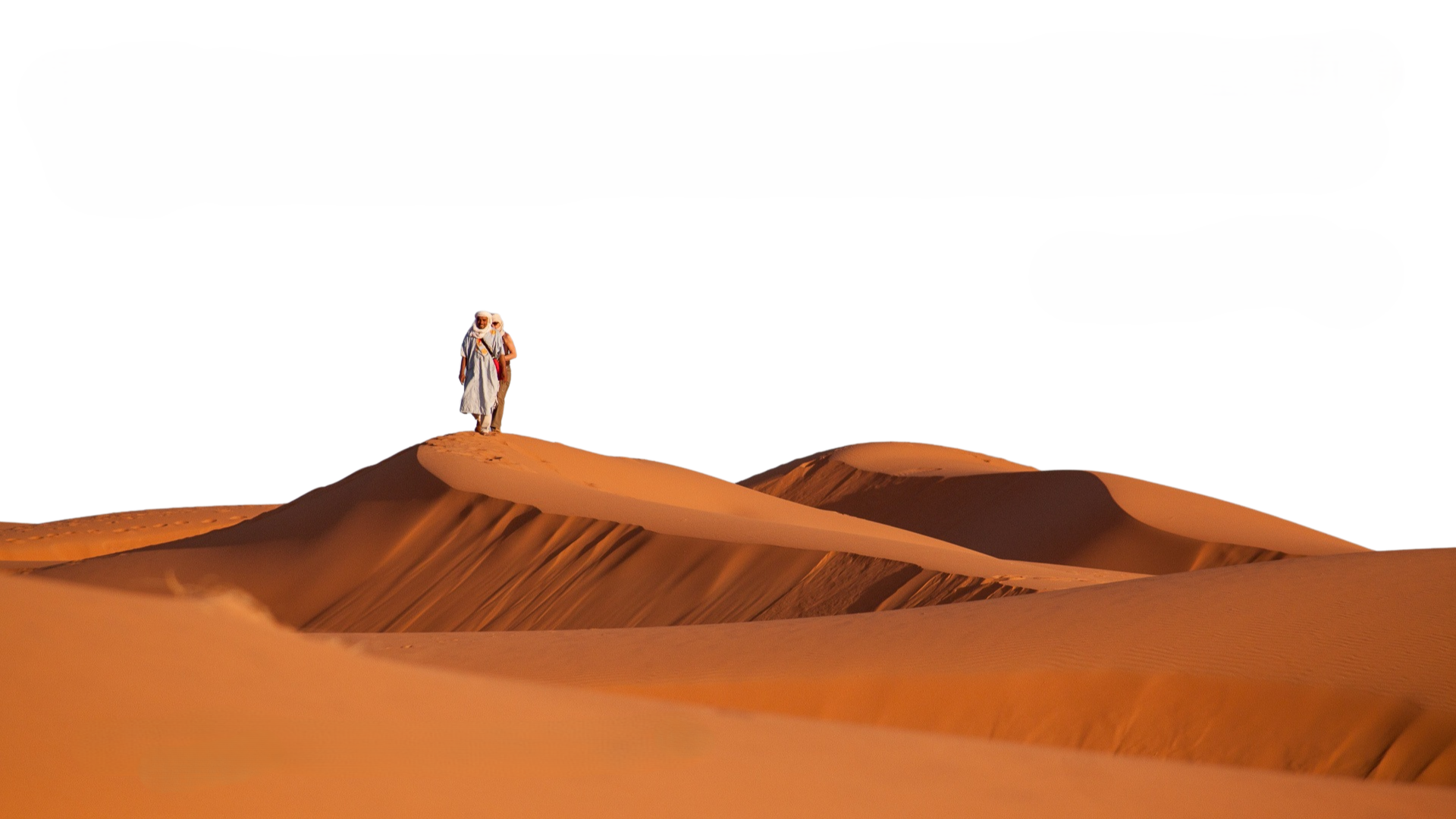 Desert Ecosystem Presentation